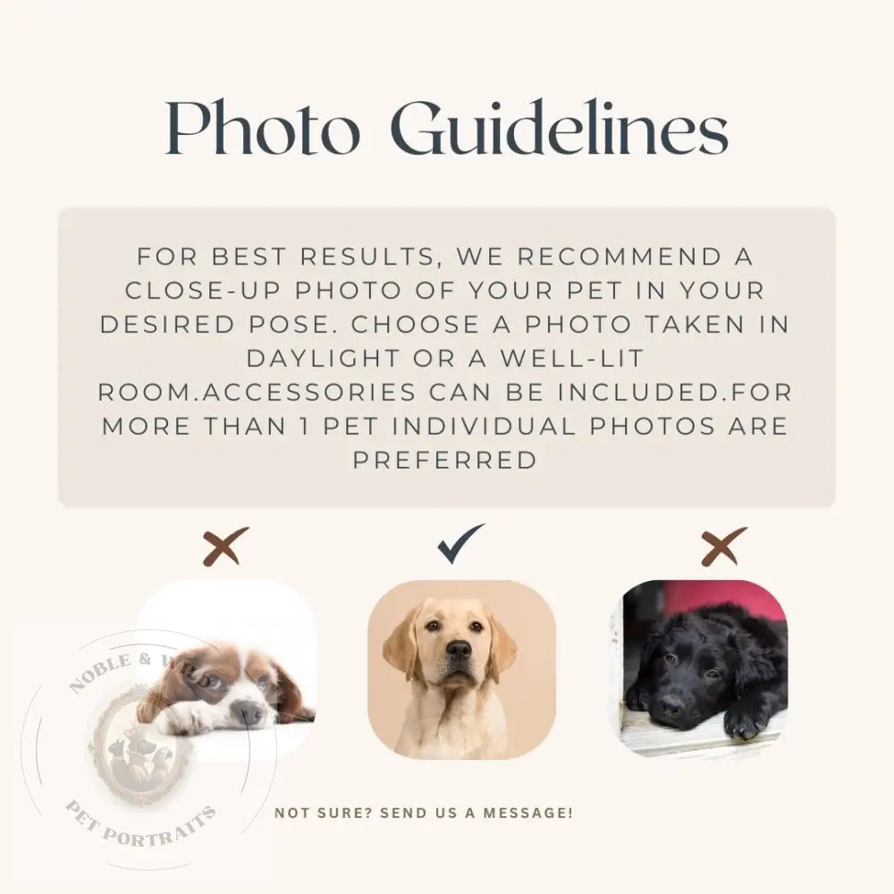 Limited Edition Christmas Cozy Pet Portrait - 1