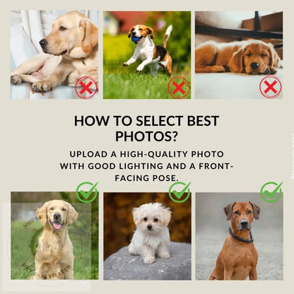 Guidelines for selecting high-quality dog photos with correct examples and wrong examples.